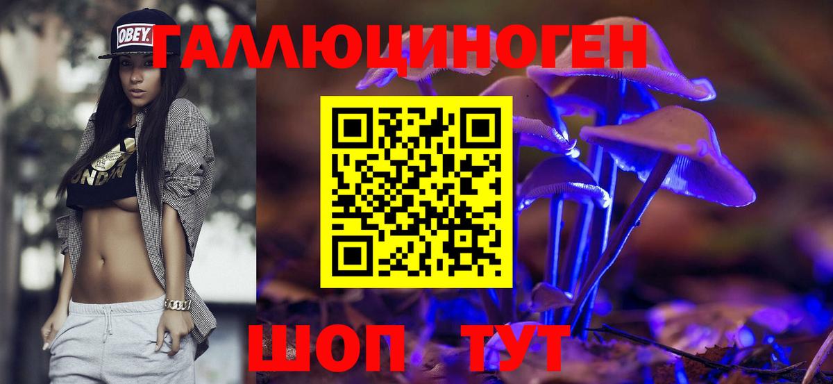 Шатура  Галлюциногенные грибы MAGIC MUSHROOMS  Вход с VPN 